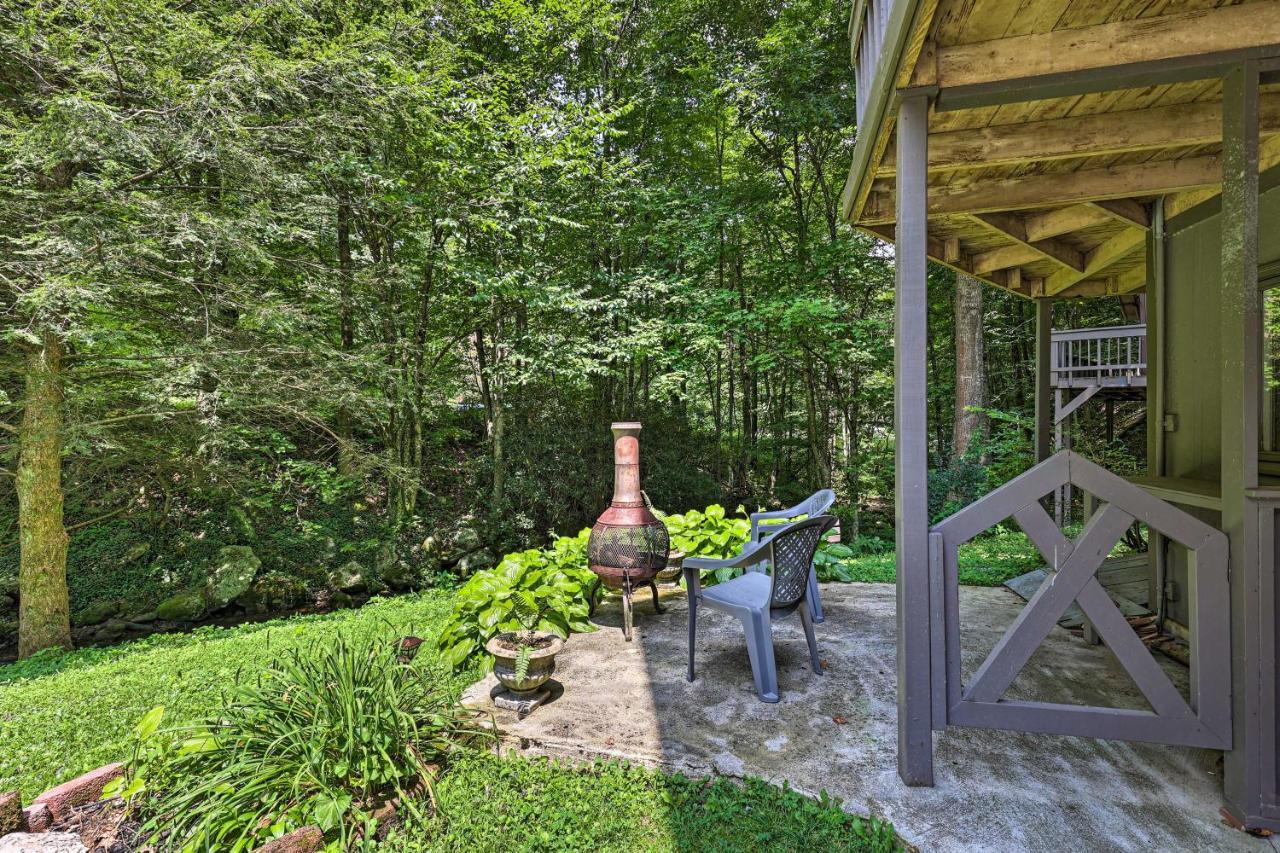 Creekside Roan Mountain Cabin Walk To Trails المظهر الخارجي الصورة