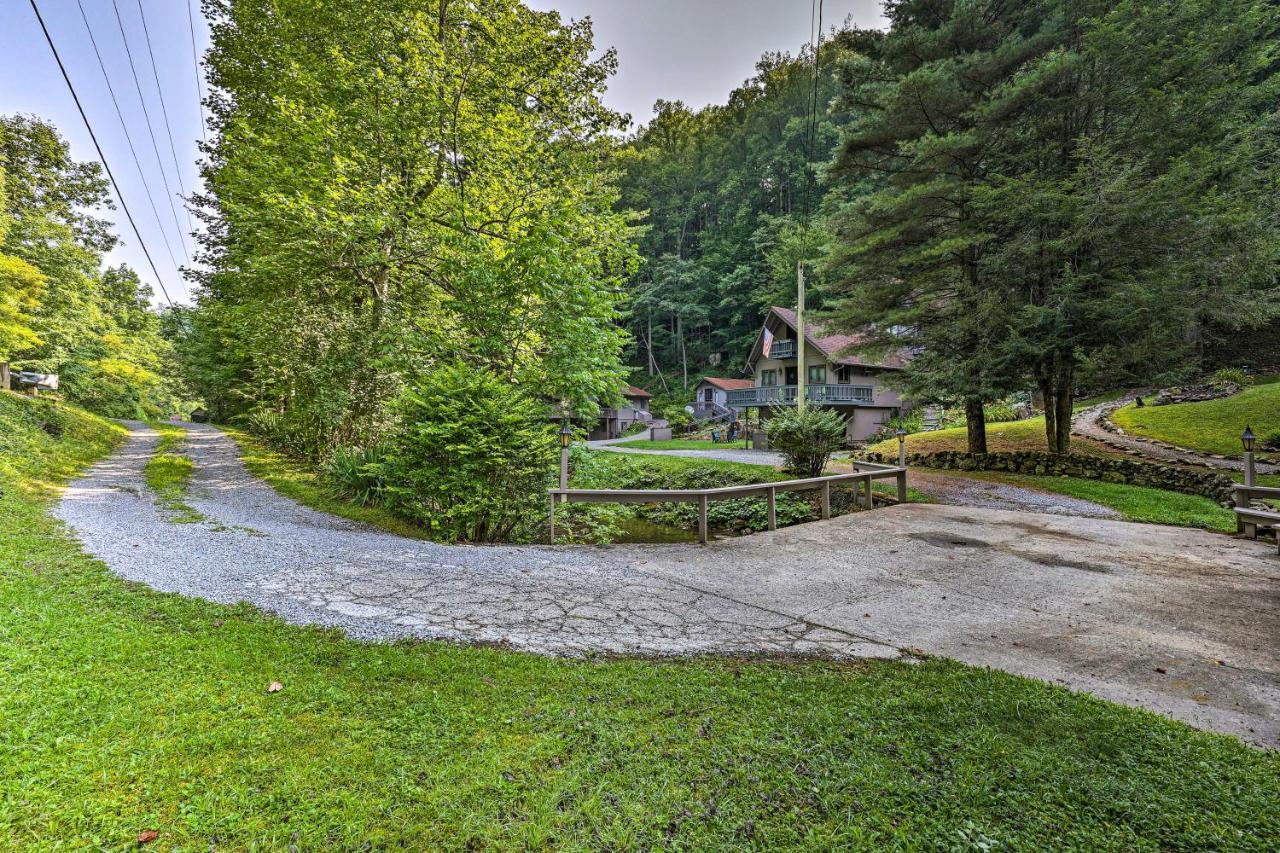 Creekside Roan Mountain Cabin Walk To Trails المظهر الخارجي الصورة