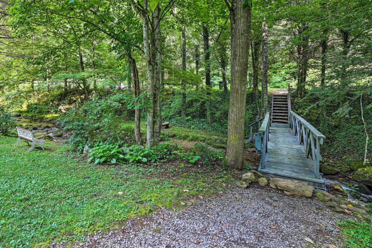 Creekside Roan Mountain Cabin Walk To Trails المظهر الخارجي الصورة