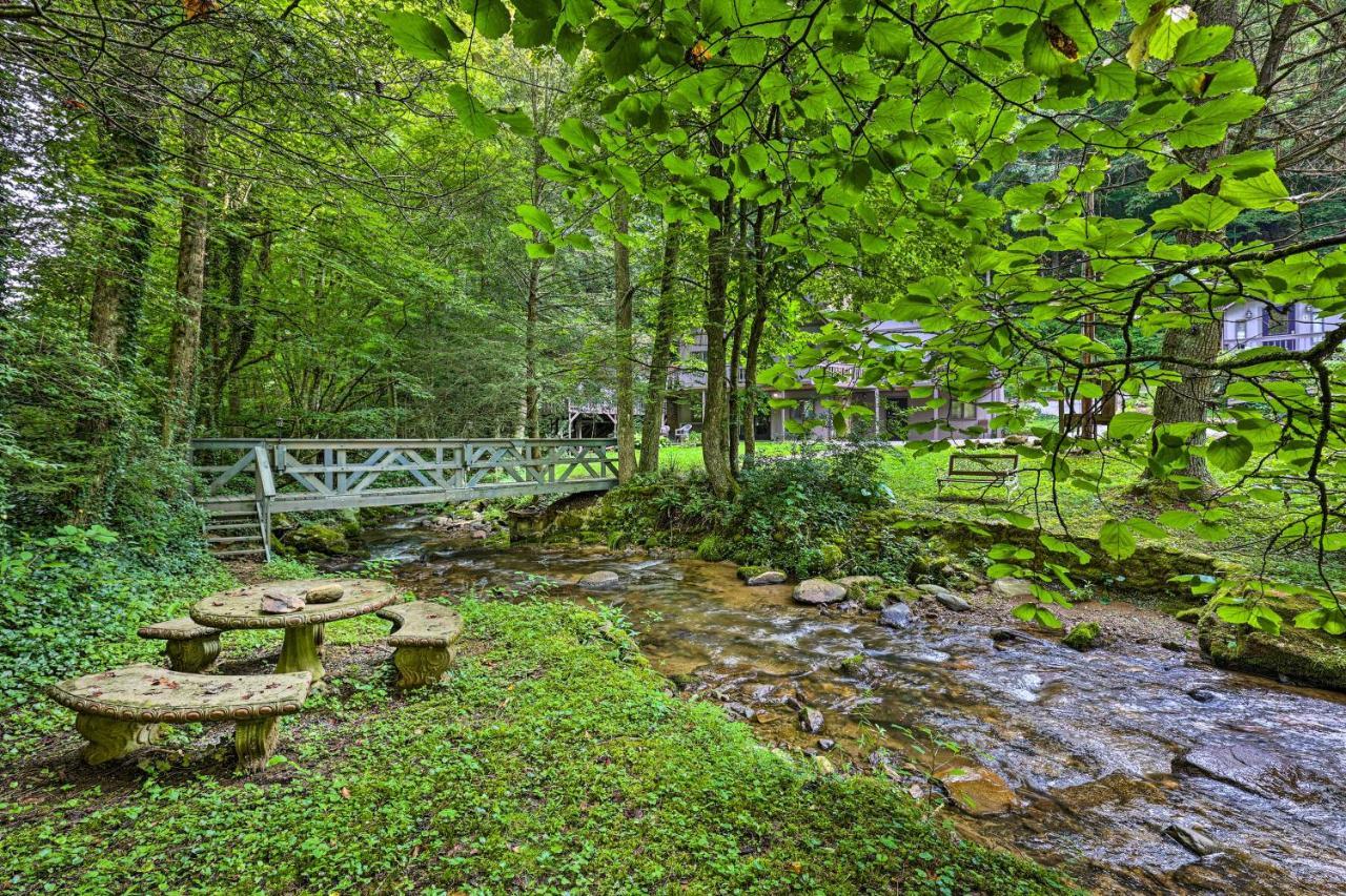 Creekside Roan Mountain Cabin Walk To Trails المظهر الخارجي الصورة