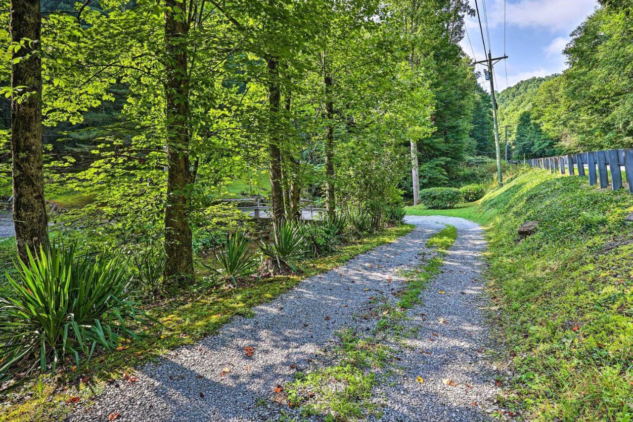 Creekside Roan Mountain Cabin Walk To Trails المظهر الخارجي الصورة