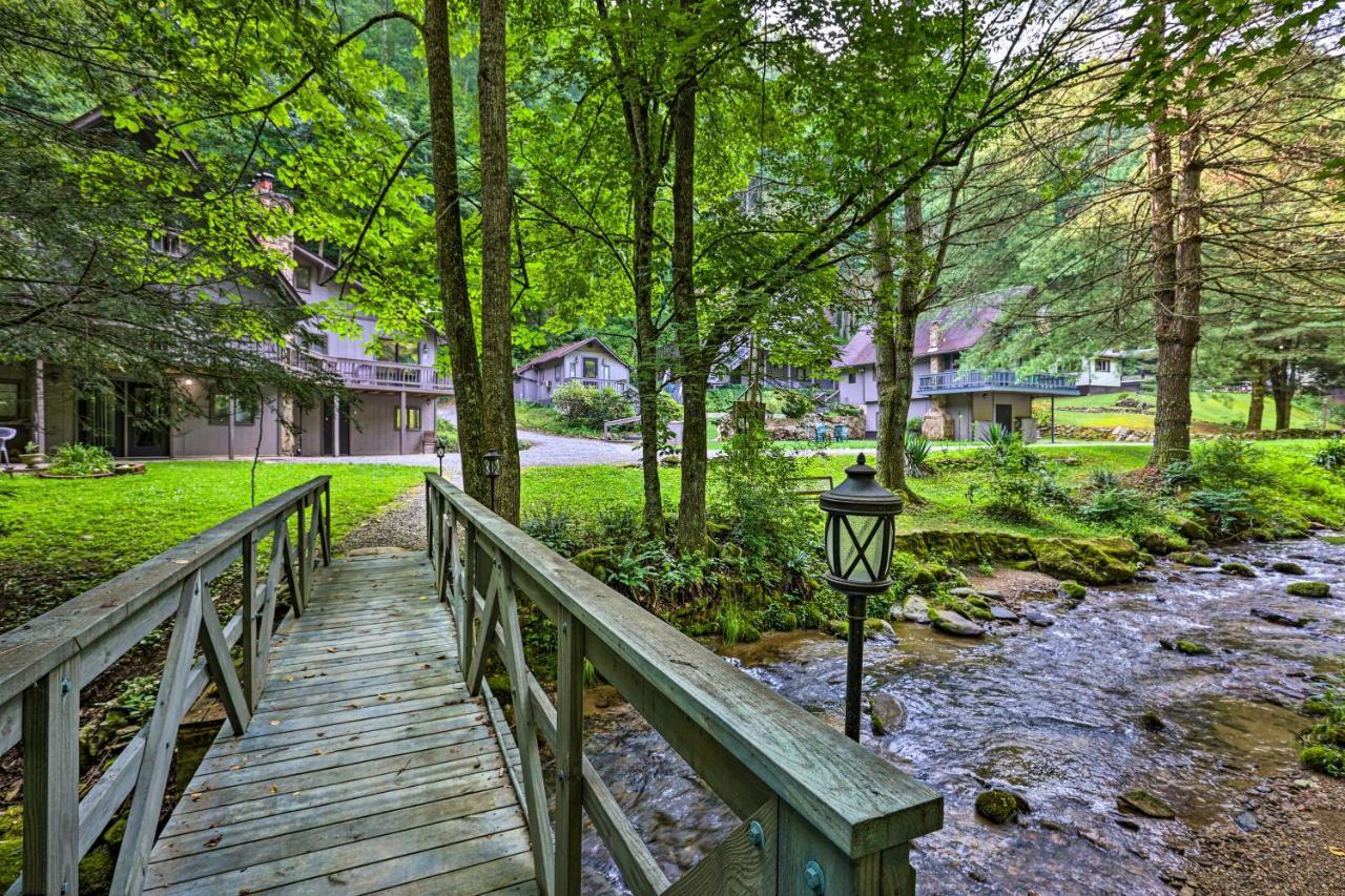 Creekside Roan Mountain Cabin Walk To Trails المظهر الخارجي الصورة