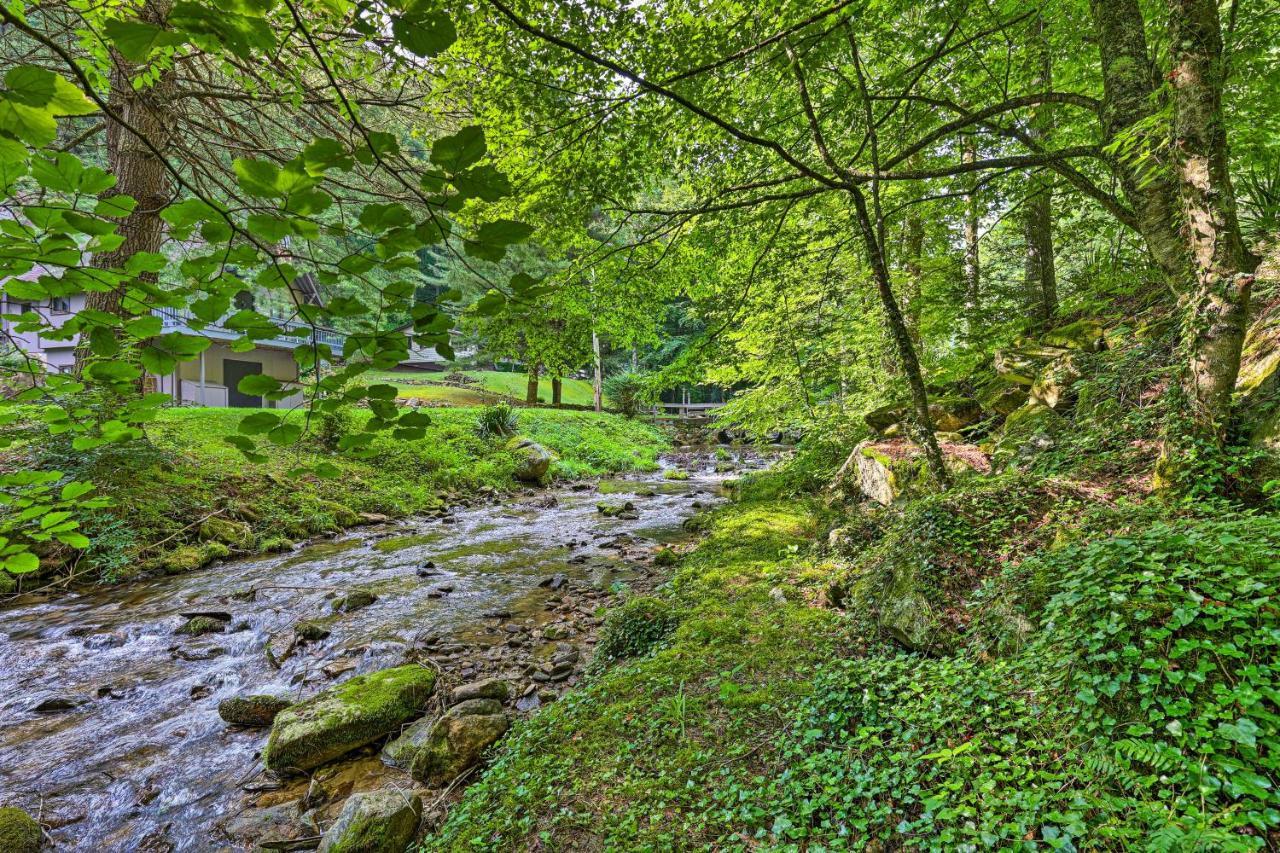 Creekside Roan Mountain Cabin Walk To Trails المظهر الخارجي الصورة
